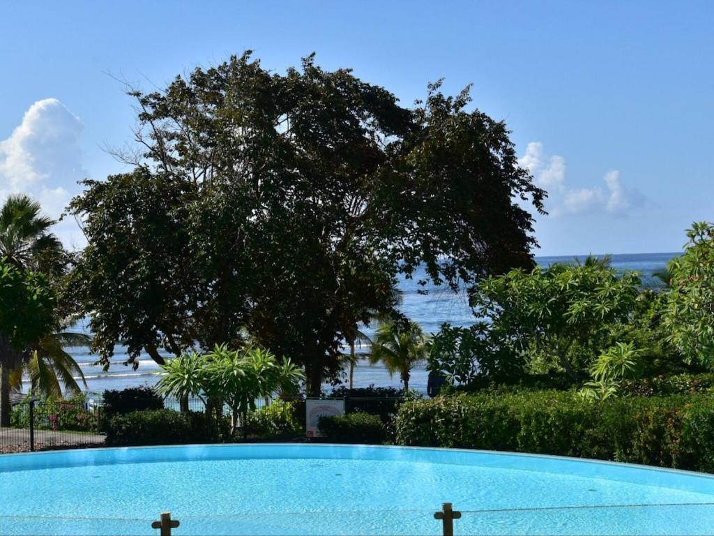 Studio Village Vacances,Vue Mer, Plage A 30M ,Wifi A Sainte Anne Extérieur photo