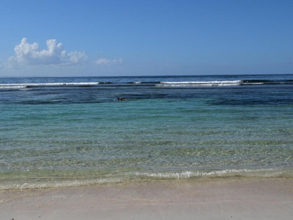 Studio Village Vacances,Vue Mer, Plage A 30M ,Wifi A Sainte Anne Extérieur photo
