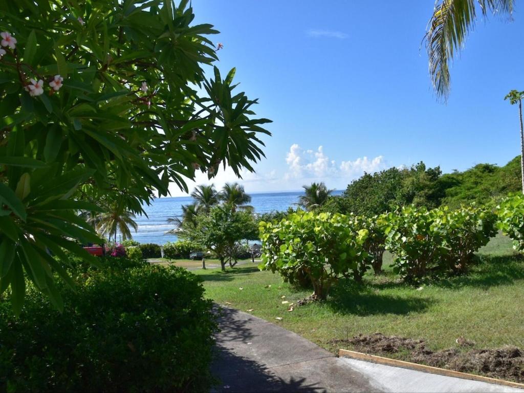 Studio Village Vacances,Vue Mer, Plage A 30M ,Wifi A Sainte Anne Extérieur photo