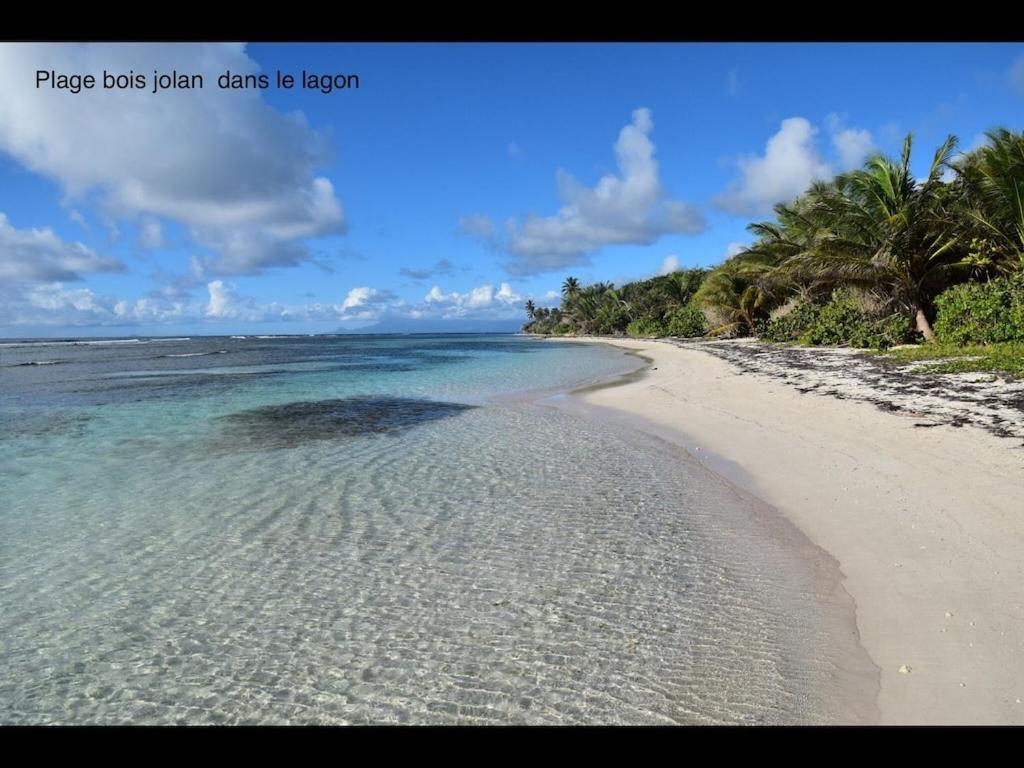 Studio Village Vacances,Vue Mer, Plage A 30M ,Wifi A Sainte Anne Extérieur photo