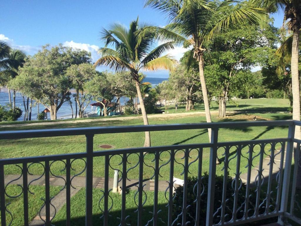 Studio Village Vacances,Vue Mer, Plage A 30M ,Wifi A Sainte Anne Extérieur photo